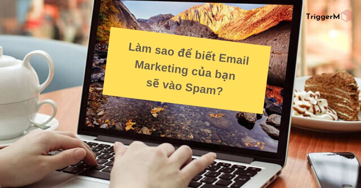 Làm thế nào để biết Email Marketing của bạn sẽ vào Spam?