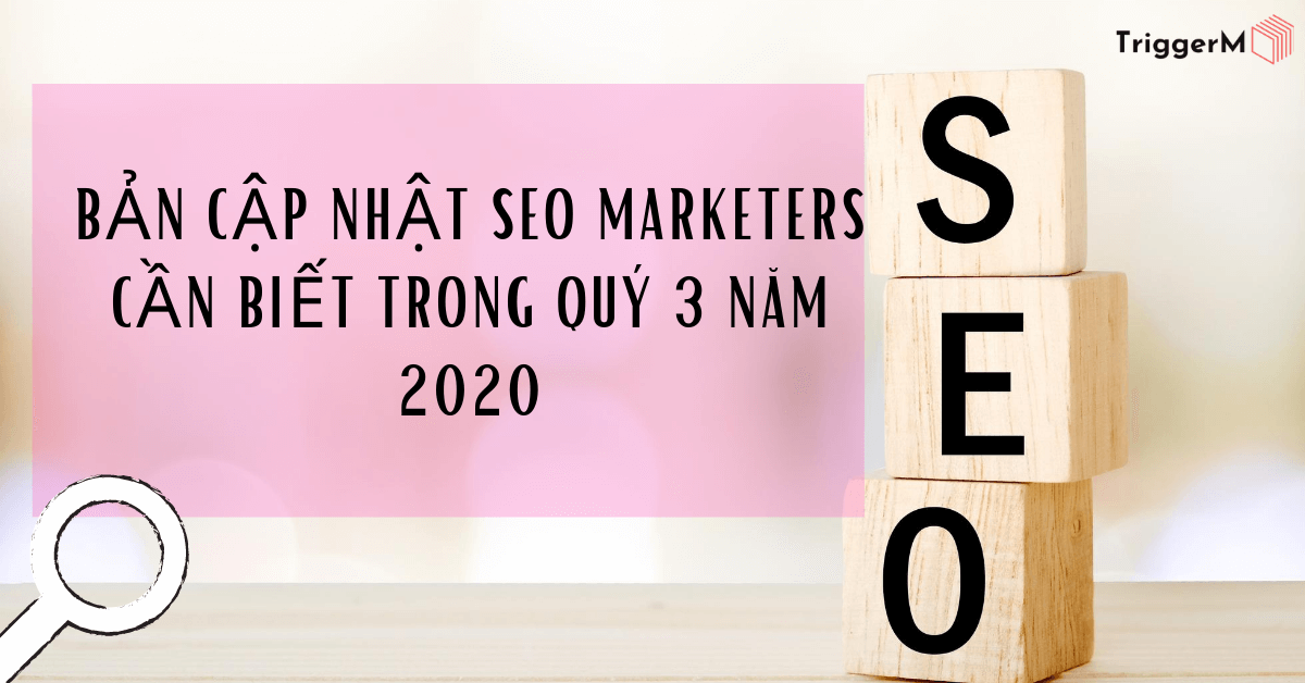 Bản cập nhật SEO Marketers cần biết trong Quý 3/2020